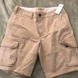Hollister Classic Cargo Fit shorts. Never worn, tags still on them. Size 30